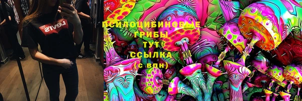 молекула духа Белокуриха