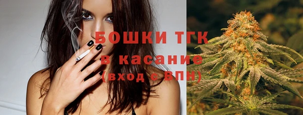 молекула духа Белокуриха