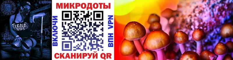 Псилоцибиновые грибы GOLDEN TEACHER Малоярославец